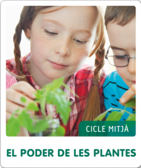 Fem-ho per projectes (CM). El poder de les plantes Fem-ho per projectes (CM). El poder de les plantes