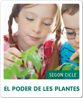 Fem-ho per projectes (2n Cicle). El poder de les plantes