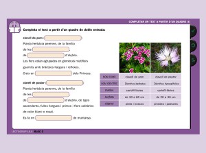 Activitat lectoclic lila