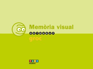 Làmines de memòria visual