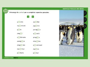 Activitat ortoclic verd